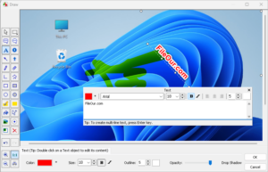Captura de pantalla del editor de imágenes FastStone Capture