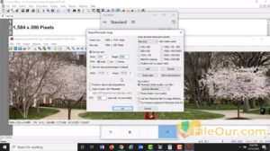 IrfanView Full Version download