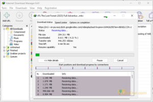 Capture d'écran du gestionnaire de téléchargement Internet 2