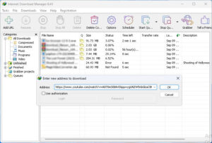 Schermafbeelding van Internet Download Manager 2024