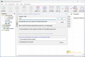 Internet Download Manager skermkiekie 4