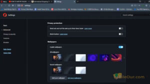 Opera Browser setting screenshot