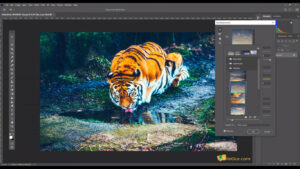 Adobe Photoshop CC screenshot 5