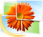 windows-live-photo-gallery-logo, Windows Photo Gallery 2019, Windows Live Photo Gallery 2019, Windows Photo Gallery 2019 Download For PC