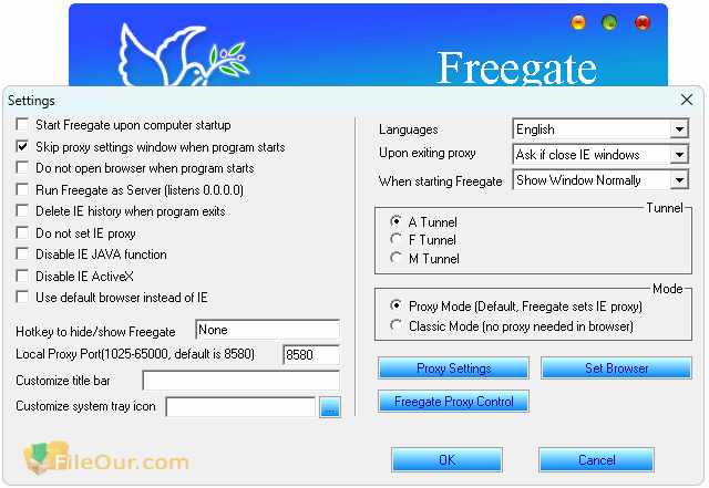 Freegate settings