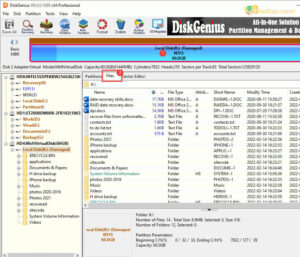 Download DiskGenius for Windows 11 10 8 7