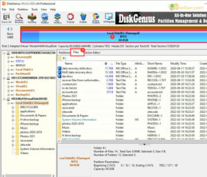 Unduh DiskGenius untuk Windows 11 10 8 7