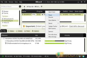BitLord Download Full Version for Windows