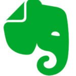 Evernote logo, icon, download, 2021