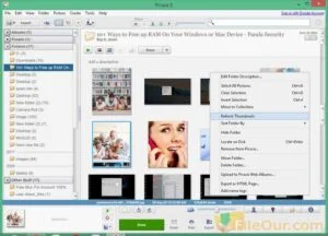 Free Download Picasa for PC