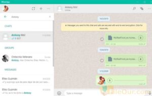 Whatsapp for PC Free Download, A Modern Messenger, Download WhatsApp Latest Version, Free Messenger, IMO Alternative, WhatsApp 2021, WhatsApp for Windows, WhatsApp Update Download, WhatsApp Web App for PC