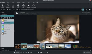 Download MAGIX Photo Manager for PC, Magix Photo Manager Deluxe Full Setup File