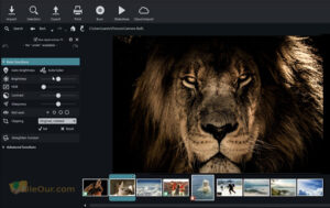 Download MAGIX Photo Manager latest version