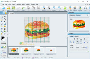 IconCool Studio latest version for PC screenshot