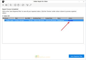 Stellar Repair For Video preview-option