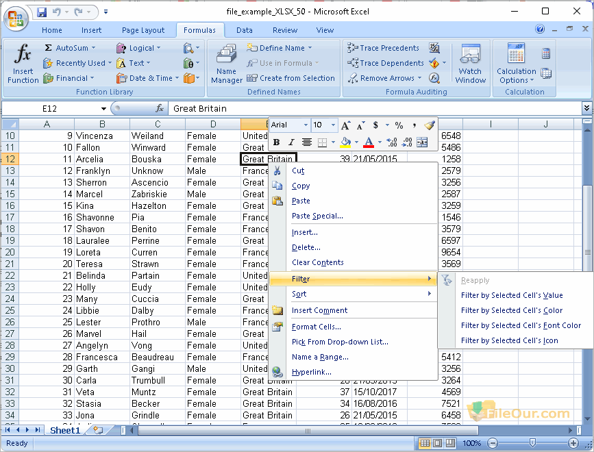 Capture d'écran de Microsoft Office 2010 Excel