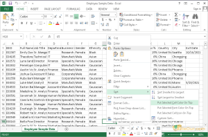 Microsoft_Excel_2013