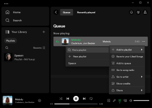 Screenshot van Spotify Offline Installer