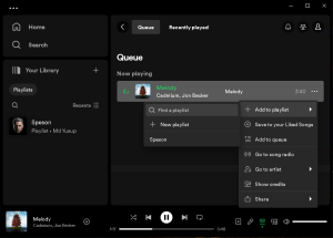 Знімок екрана Spotify Offline Installer