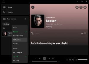 Capture d'écran de la liste de lecture Spotify